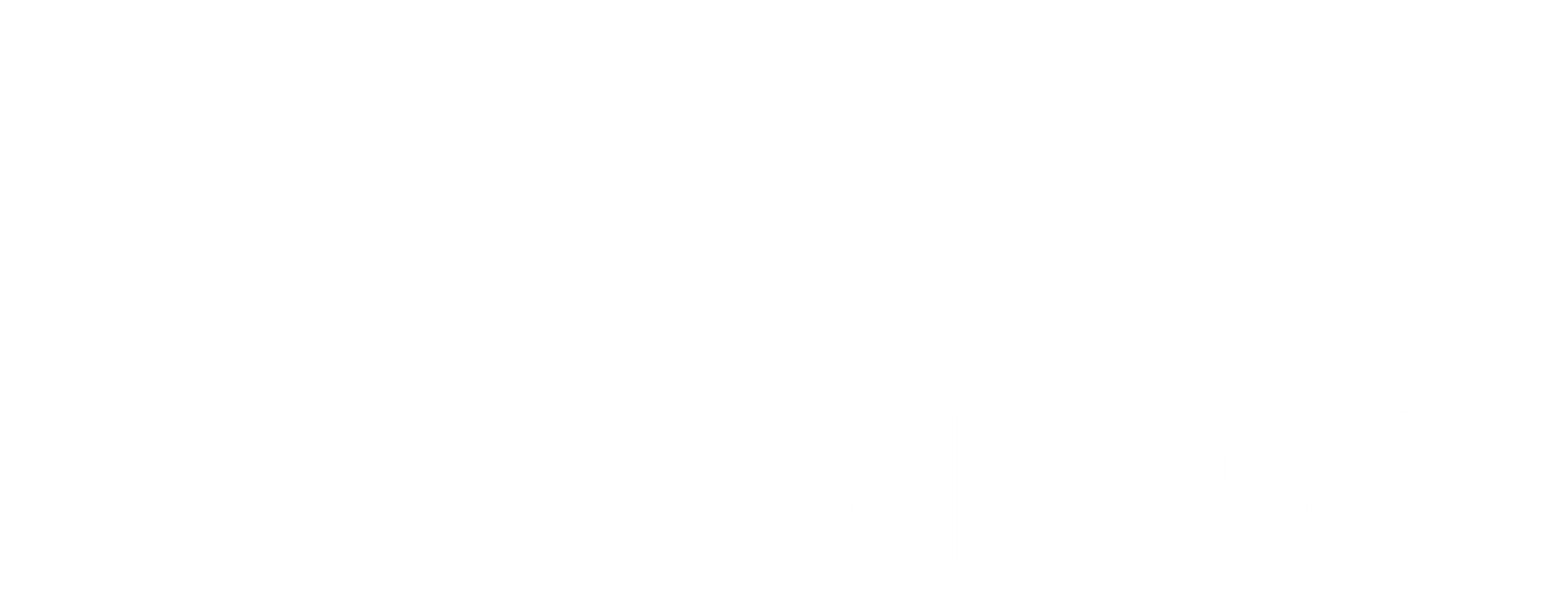 Speedbird24